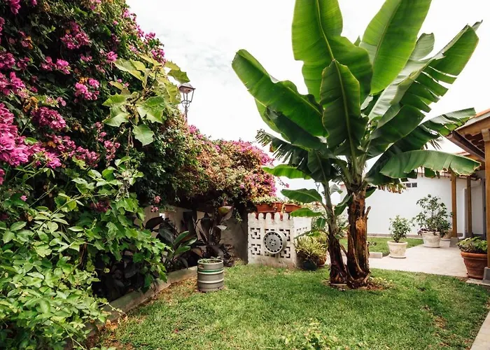 Holiday home Casa Tulipanes &